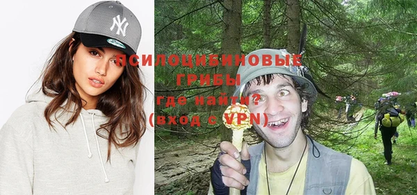 бошки Нязепетровск