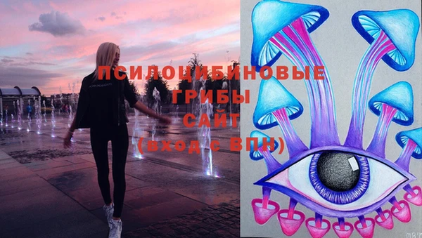 не бодяженный Осташков