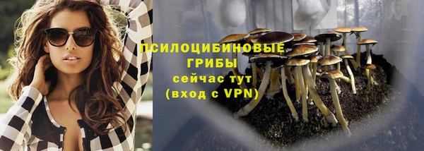 не бодяженный Осташков